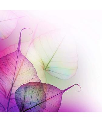 PURPLE  LEAVES