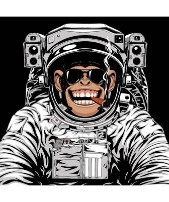 MONKEY COSMONAUT