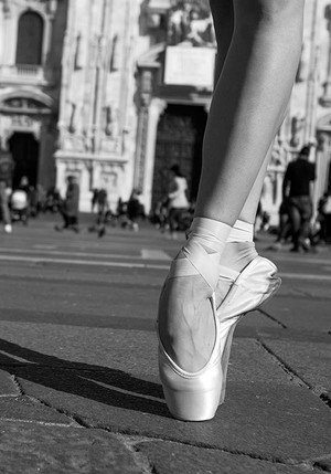 Черно-бели /монохромни/ GRACEFUL