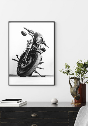 Черно-бели /монохромни/ MOTORCYCLE