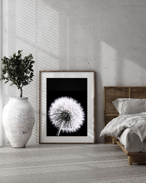 Черно-бели /монохромни/ MACRO DANDE