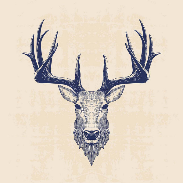 Други DEER ILLUSTRATION